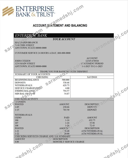 Nigeria Enterprise Bank account statement Word and PDF template